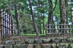 竹垣と松